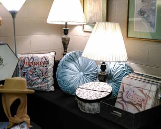Beautiful table lamps for your home and decorative pillows, vintage record albums.