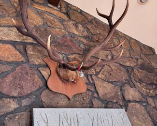 12 POINT ELK MOUNT