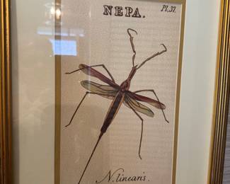 ONE OF A PAIR