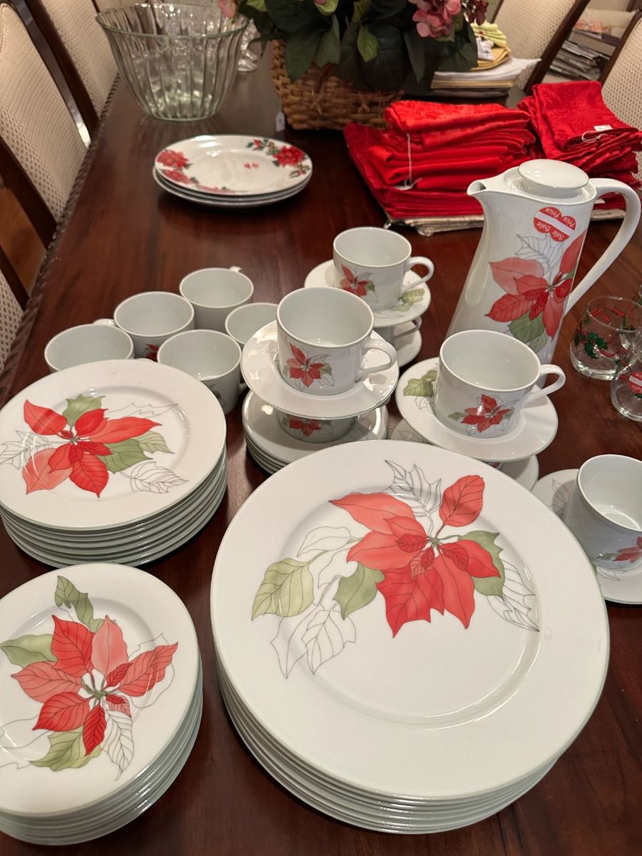  BEAUTIFUL CHINA SET