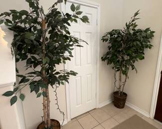 Foyer - Silk Trees