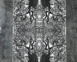 MCM photograph on mirror #3