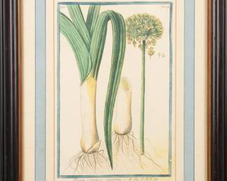 Botanical print 