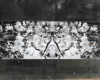 MCM photograph on mirror #2