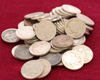 Lot of Buffalo nickels