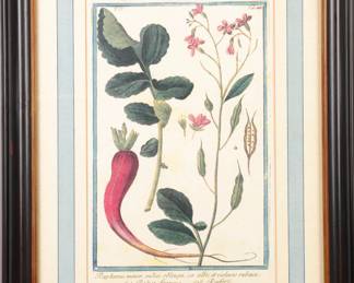 Botanical print 