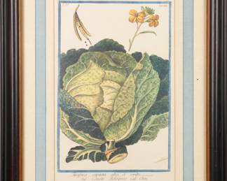 Botanical print 