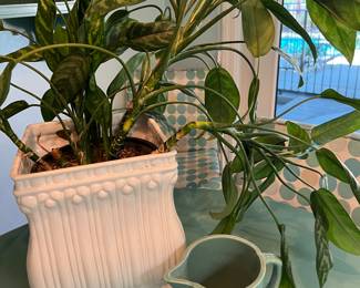 LIVE PLANT AND DECOR