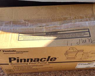 Pentair Pinnacle Swimming Pool Pump