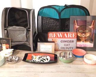 Cat Carriers and Decor