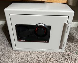Sentry safe
