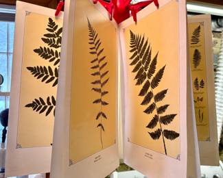 FERN Litho's - we have the whole collection - unframed -
