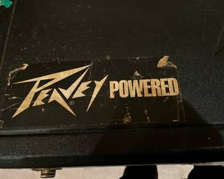 #42	Purvey powered electric guitar Falcon	 $200.00 			
