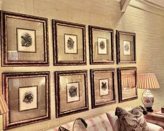 The Lorhdae hand colored parrot in elaborate custom framing 