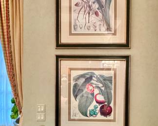 Botanical prints 
