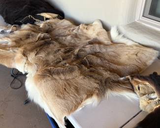 Black Bear Pelt/Hide Rug
Coyote Pelt/Hide Rug
Deer Pelt/Hide Rug
Deer Hoof L Rack 
Cow Pelt/Hide Rug
Buffalo Pelt/Hide Rug
