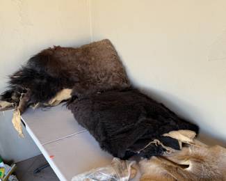 Black Bear Pelt/Hide Rug
Coyote Pelt/Hide Rug
Deer Pelt/Hide Rug
Deer Hoof L Rack 
Cow Pelt/Hide Rug
Buffalo Pelt/Hide Rug