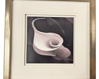 Silver Tone Framed Calla Lilly Picture