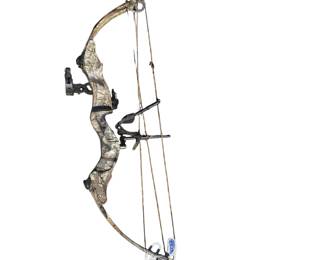 Compound bow