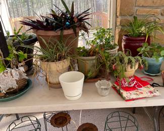 live plants & stands