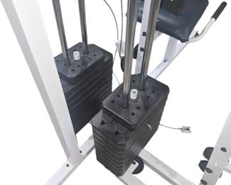 Weider workout station