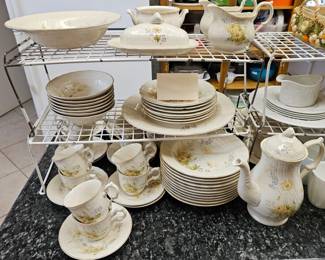 Mikasa Spring Meadow 68 piece set