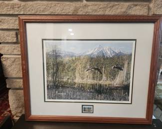 DUCKS UNLIMITED