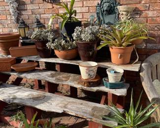 Some of the many outdoor pots and plants (these we were able to protect from our recent freeze)