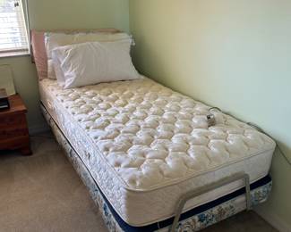 Electric Twin Bed