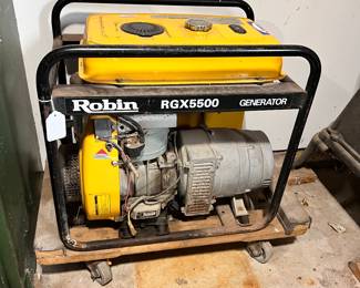 Robin RGX5500 Generator 