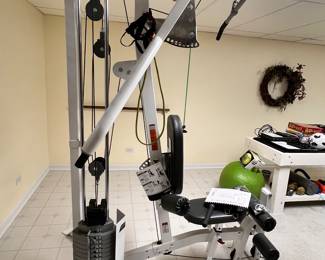 Body Gear by Hoist BG100