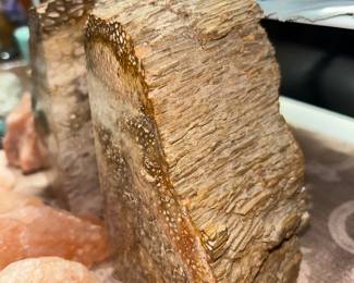 Petrified wood over geodes 