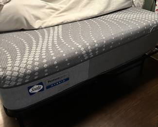 FIRM PRICE SAT $350 Queen size mattress