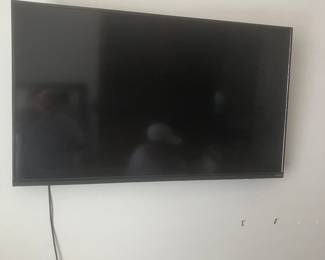#33 $100 Vizio 47 in TV 
