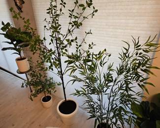 Accent trees for staging