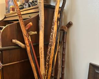 Walking Sticks & Canes