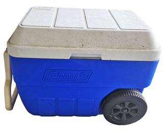 Blue Coleman Cooler