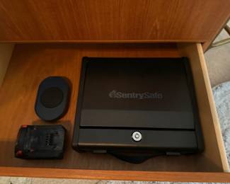 Sentry safe