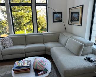 Sectional couch, coffee table, arching lamp