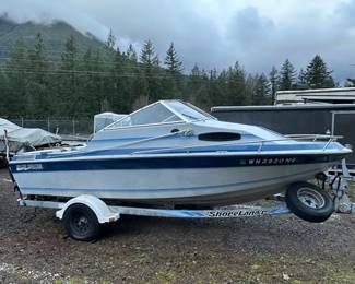 1994 Bluewater Executive Overnighter 19 with Shorelander Trailer