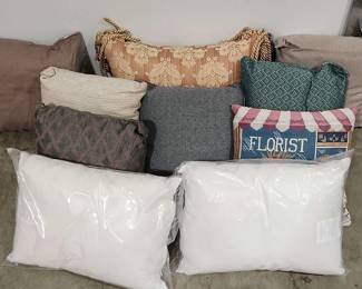 10 Very Small Pillow Lot