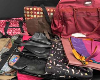 Large Travel Case, Misc Bags, Cooler Bags