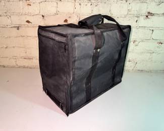 Carry case for jewelry trays