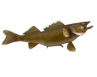 Taxidermy Mounted Fish 26" Walleye Cabin Decor Man Cave Fisherman