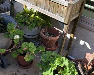 Tons of Terra cotta pots. Garden supplies, planters 