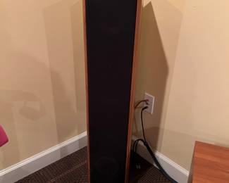 Premier Acoustic Tower Speakers (PA-6F),