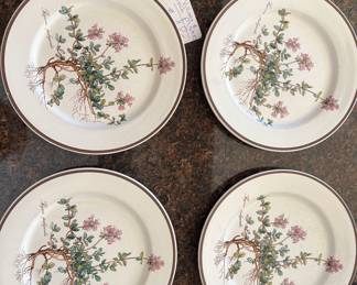 Villeroy & Boch  Luncheon Plates
