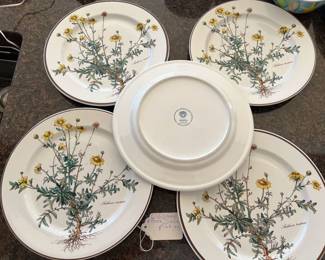 Villory & Boch Dinner Plates