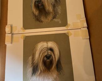 Original Pastel Chalk by Meredith Rambo - Briard dog