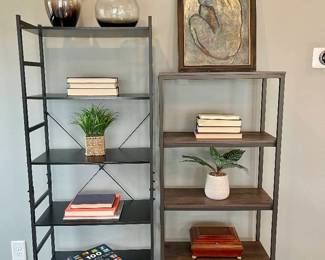 Lot 009-LR: Living Room Shelf Montage